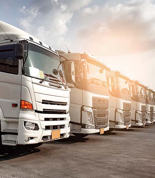 safer reach logistics